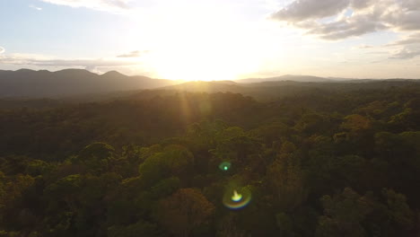 Guayana-Amazonaspark-In-Saül-Luftaufnahme.-Amazonas-Walddach